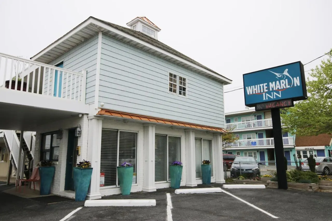 White Marlin Inn Ocean City Motel